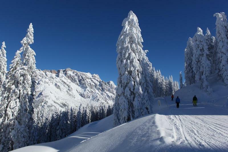 Apartmán Am Berg 34 Maria Alm am Steinernen Meer Exteriér fotografie